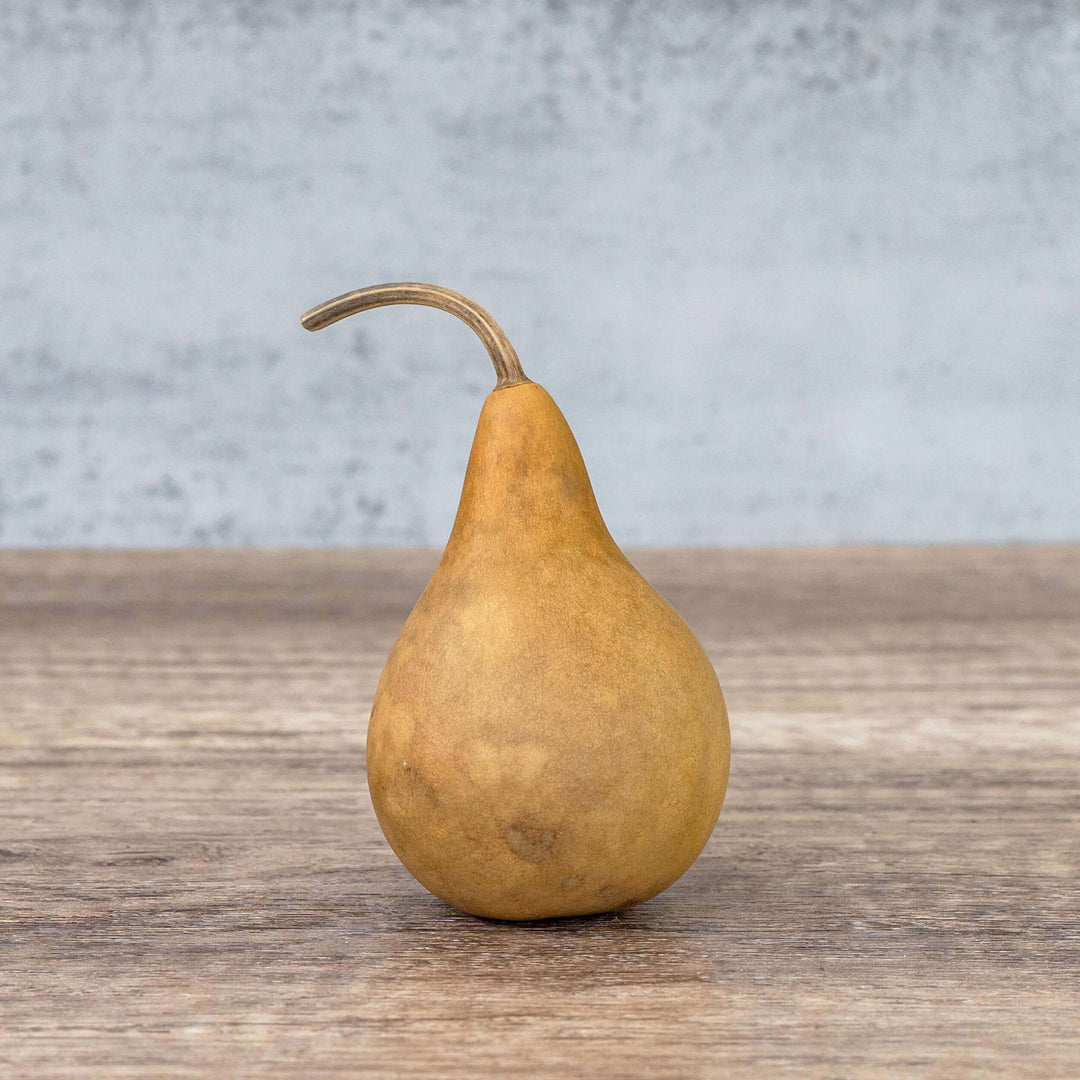 2" Martin Gourds at Meadowbrooke Gourds. 