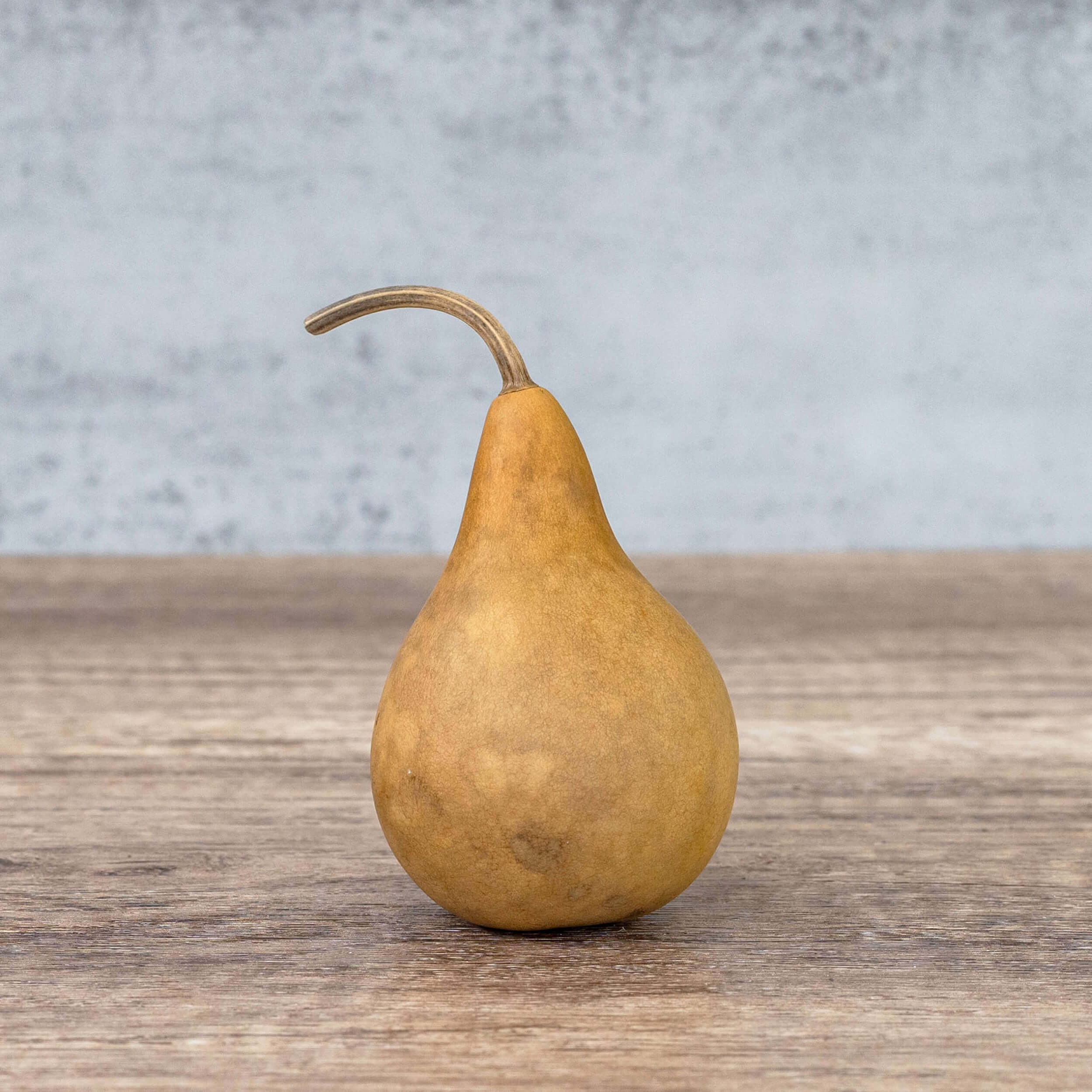 2" Martin Gourds at Meadowbrooke Gourds. 