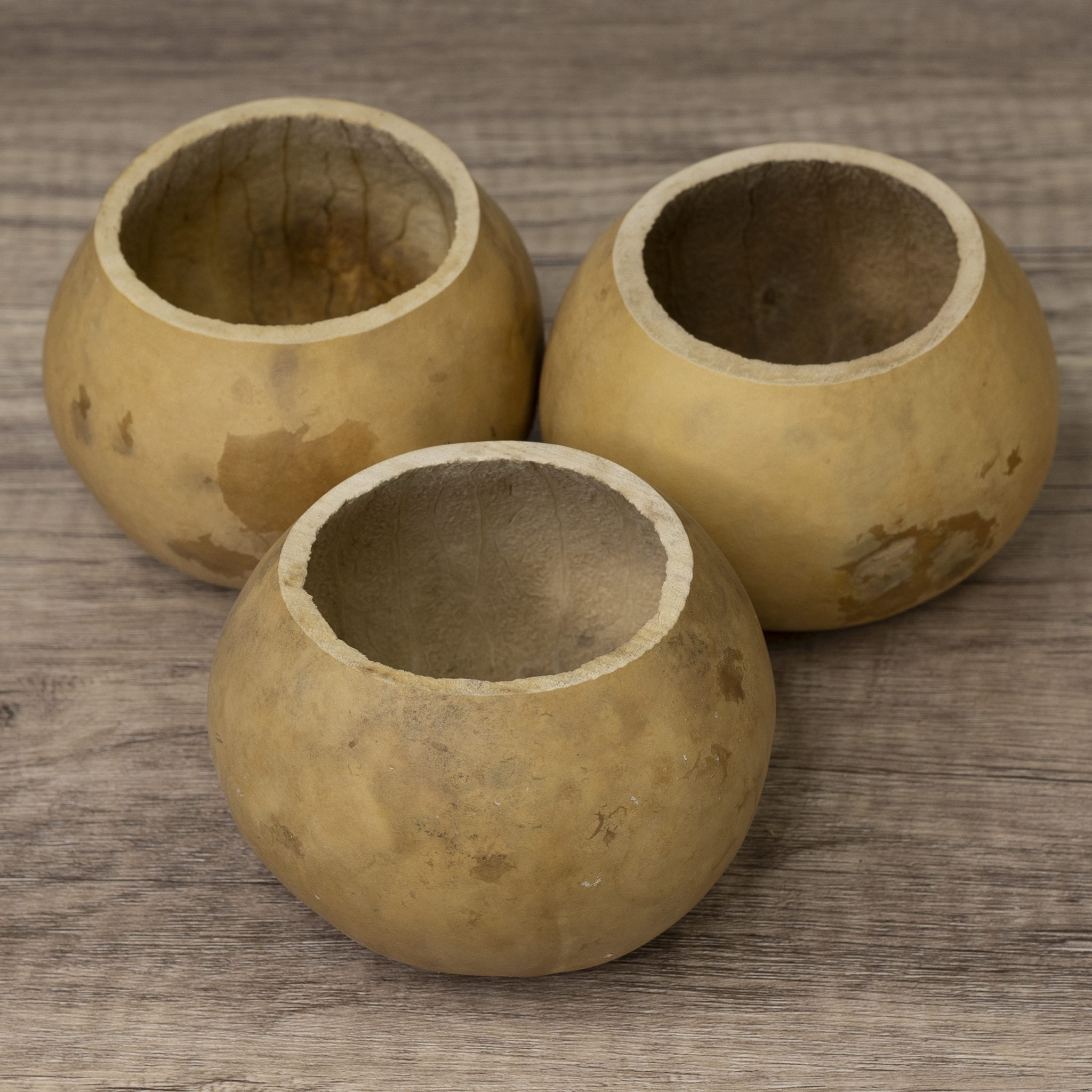 Dried 4" Straight Cut Gourd Bowl