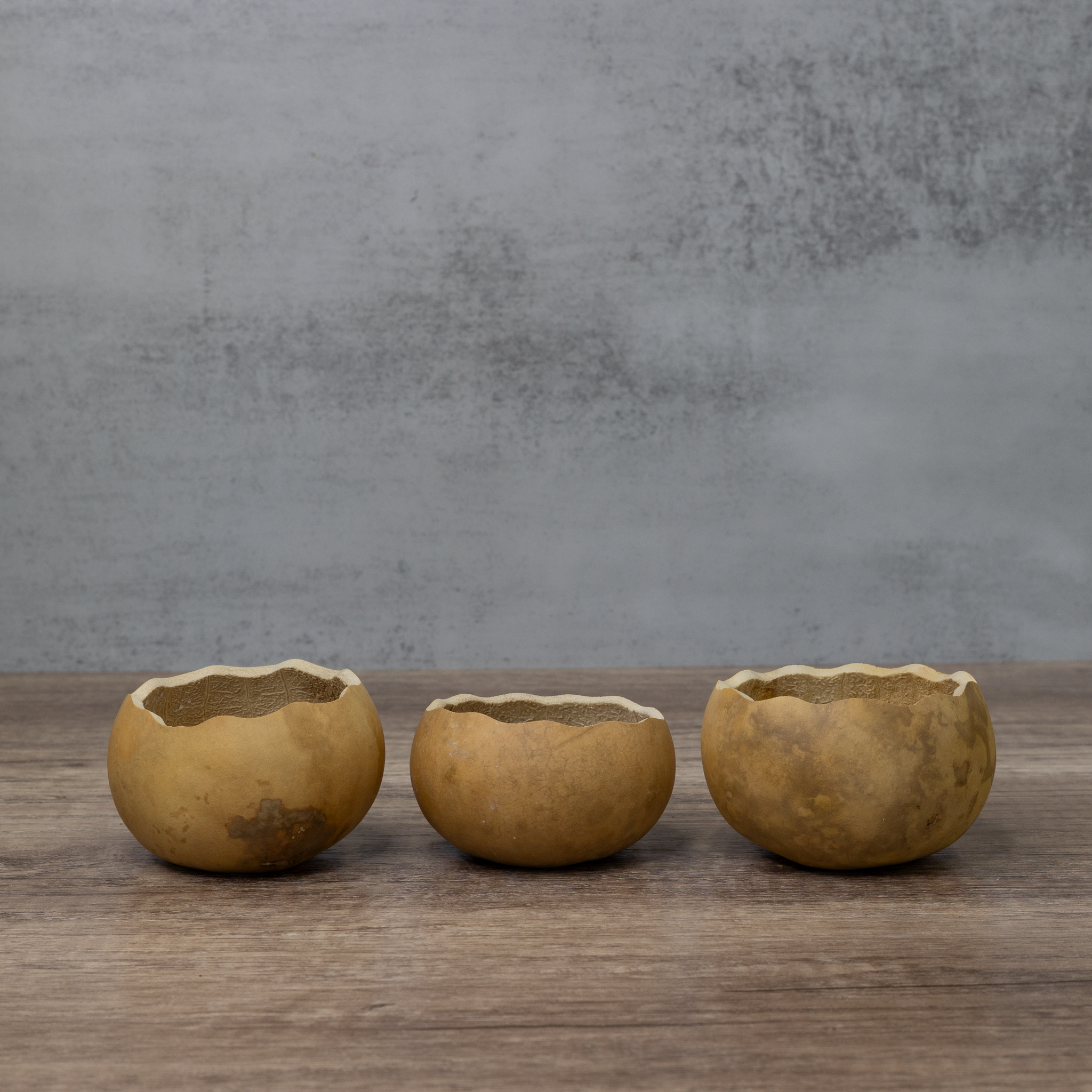 Dried 3" Scalloped Cut Gourd Bowl