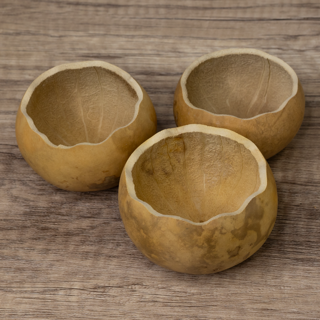 Dried 3" Scalloped Cut Gourd Bowl