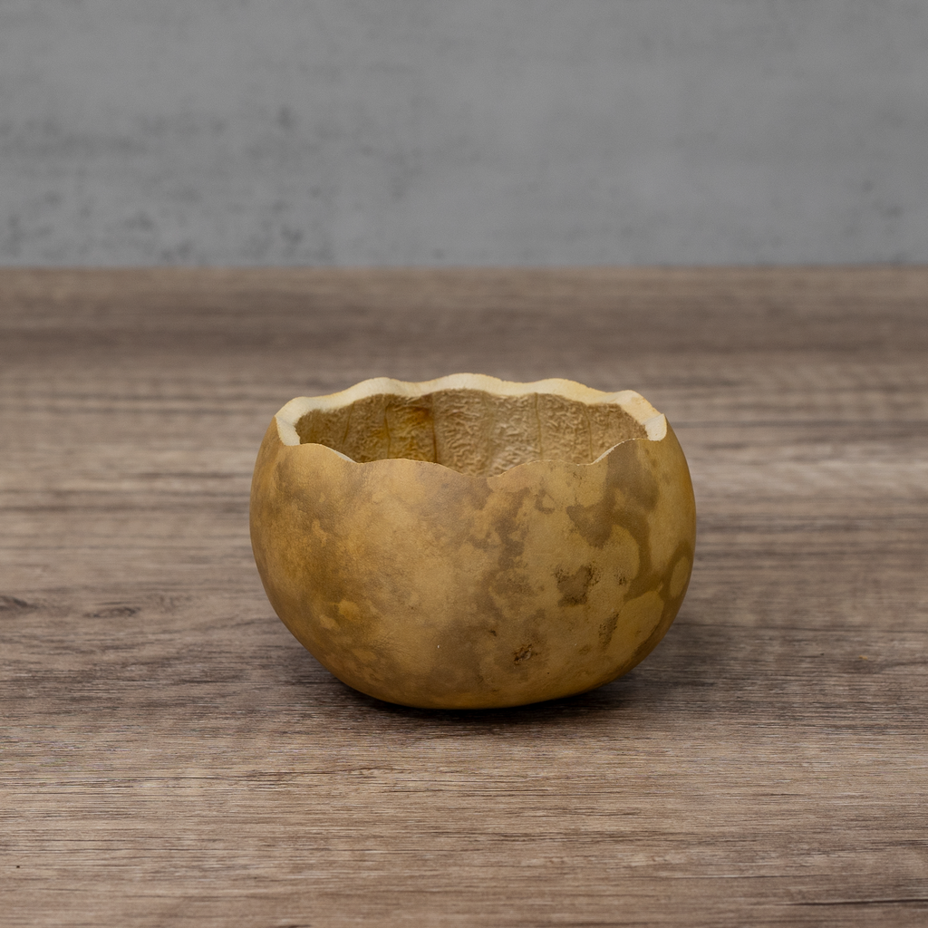 Dried 3" Scalloped Cut Gourd Bowl