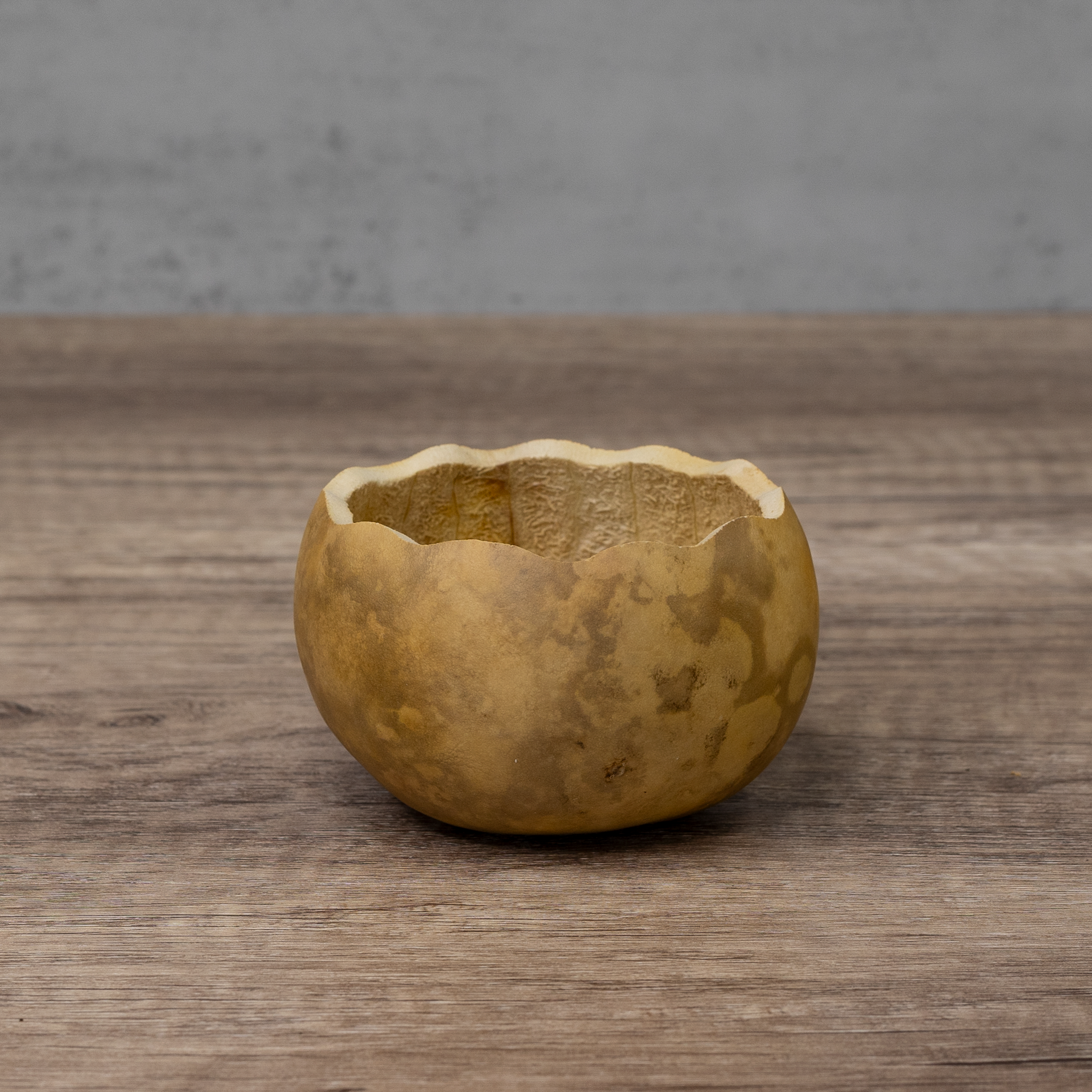Dried 3" Scalloped Cut Gourd Bowl