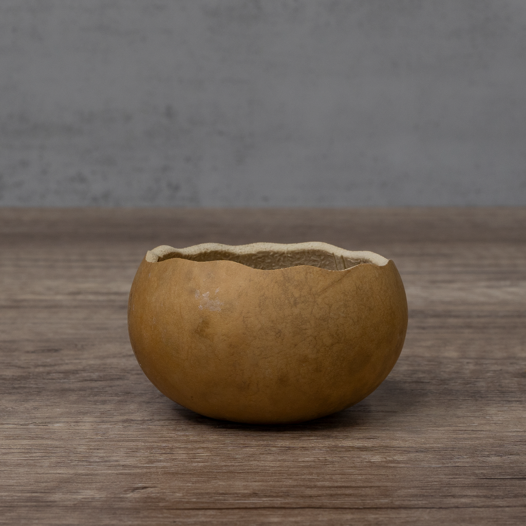 Dried 3" Scalloped Cut Gourd Bowl