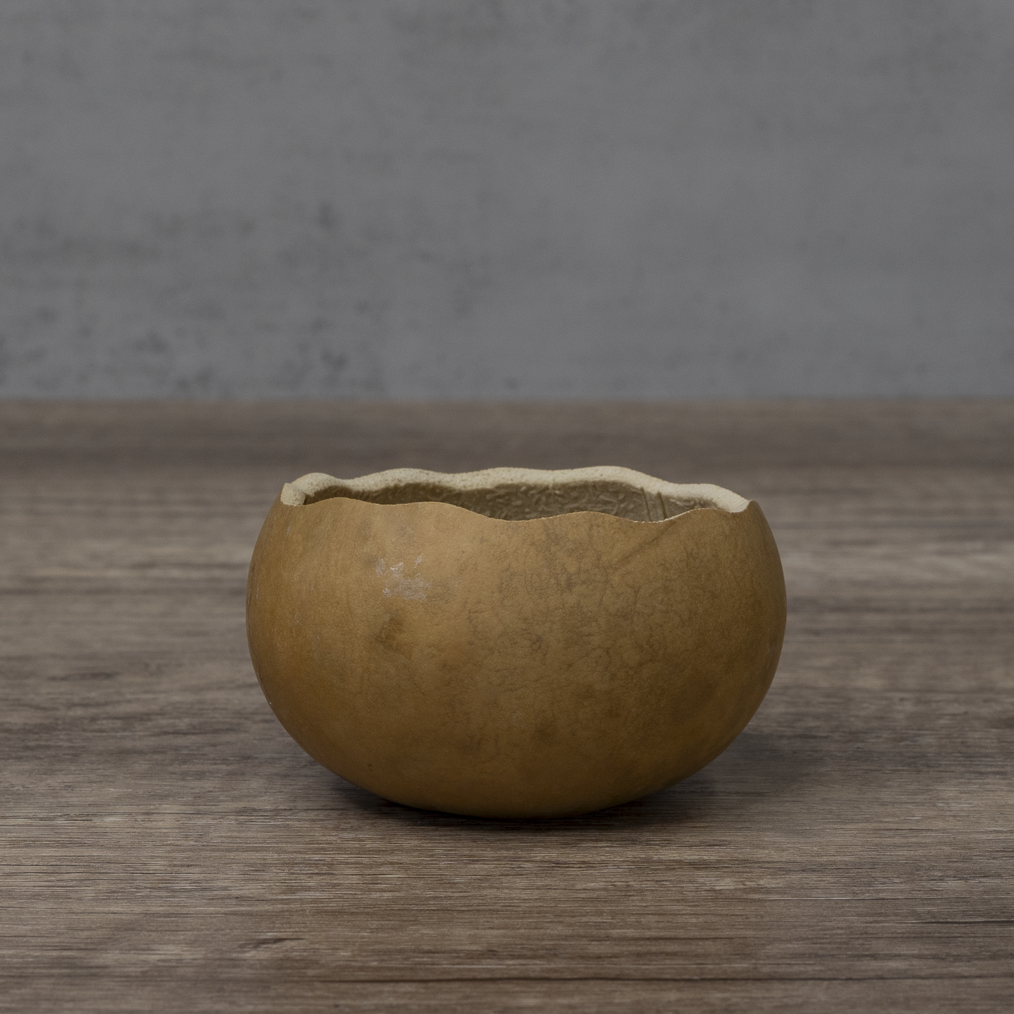 Dried 3" Scalloped Cut Gourd Bowl