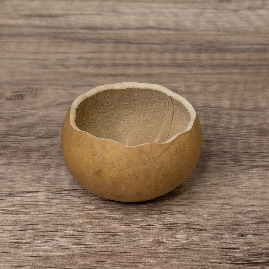 Dried 3" Scalloped Cut Gourd Bowl