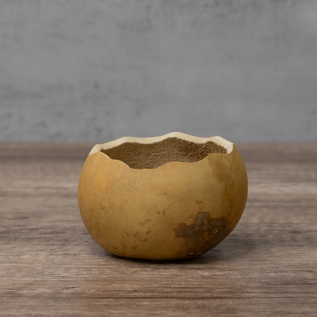 Dried 3" Scalloped Cut Gourd Bowl