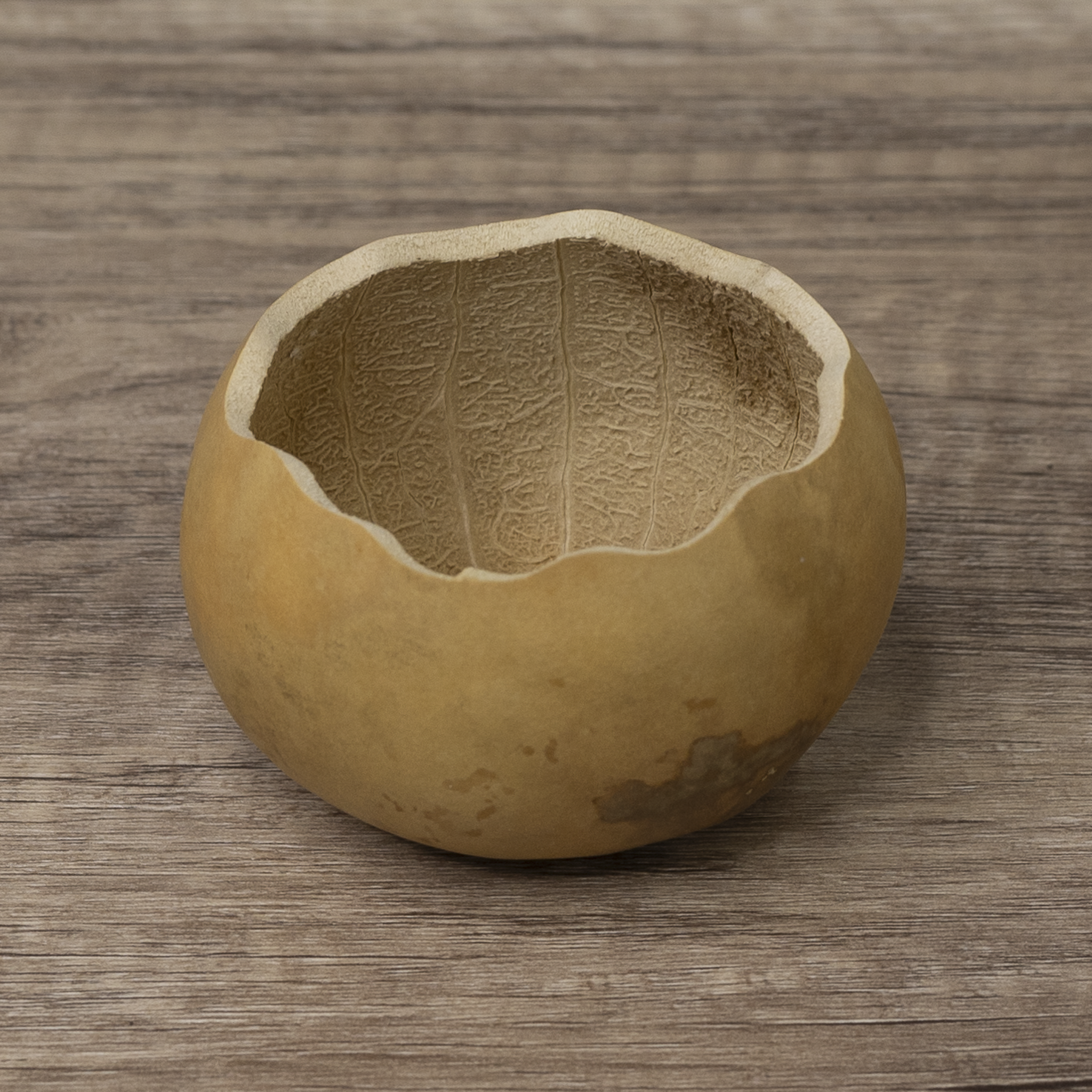 Dried 3" Scalloped Cut Gourd Bowl