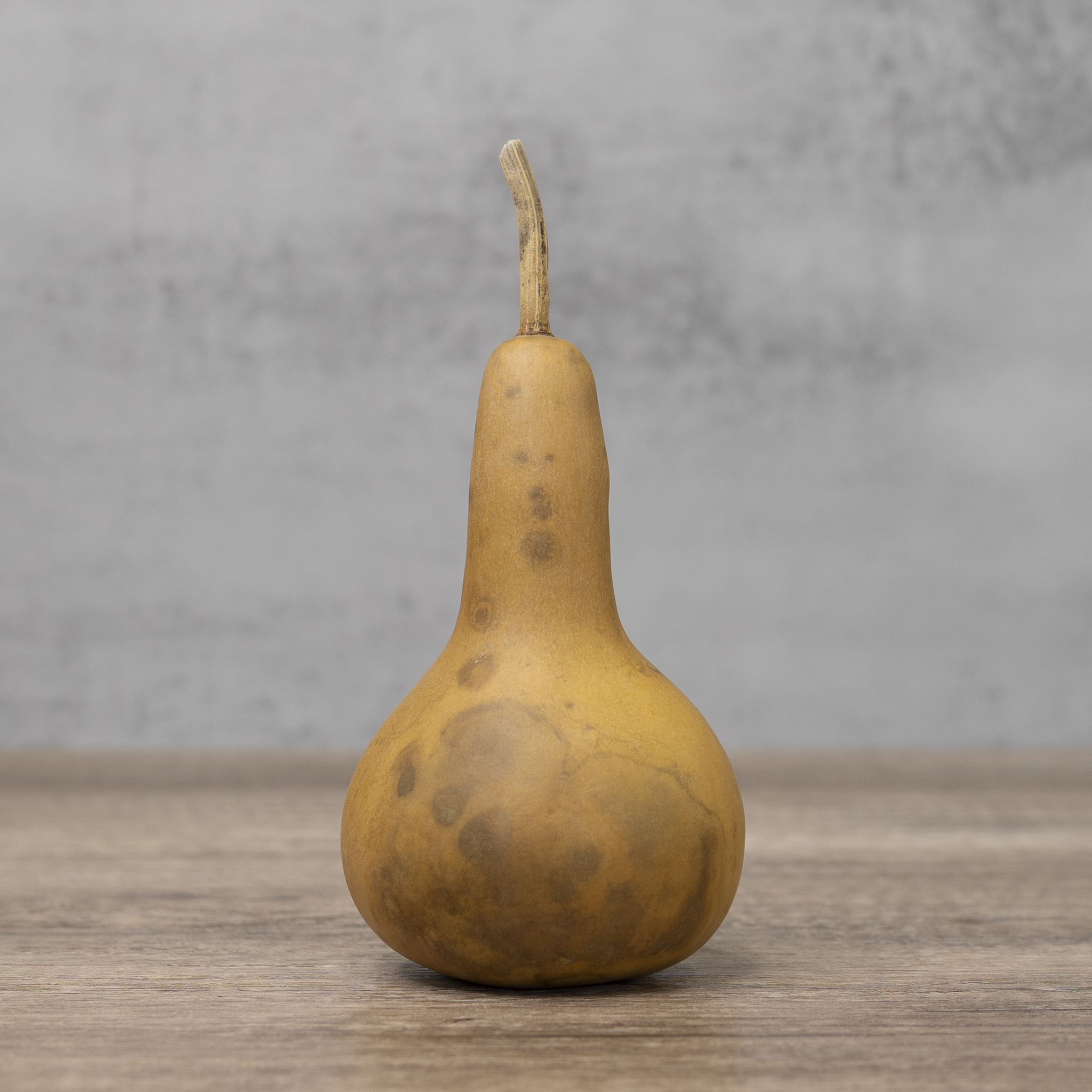 Dried Martin Gourd - 3" in Diameter