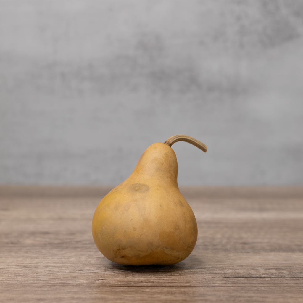Dried Martin Gourd - 3" in Diameter