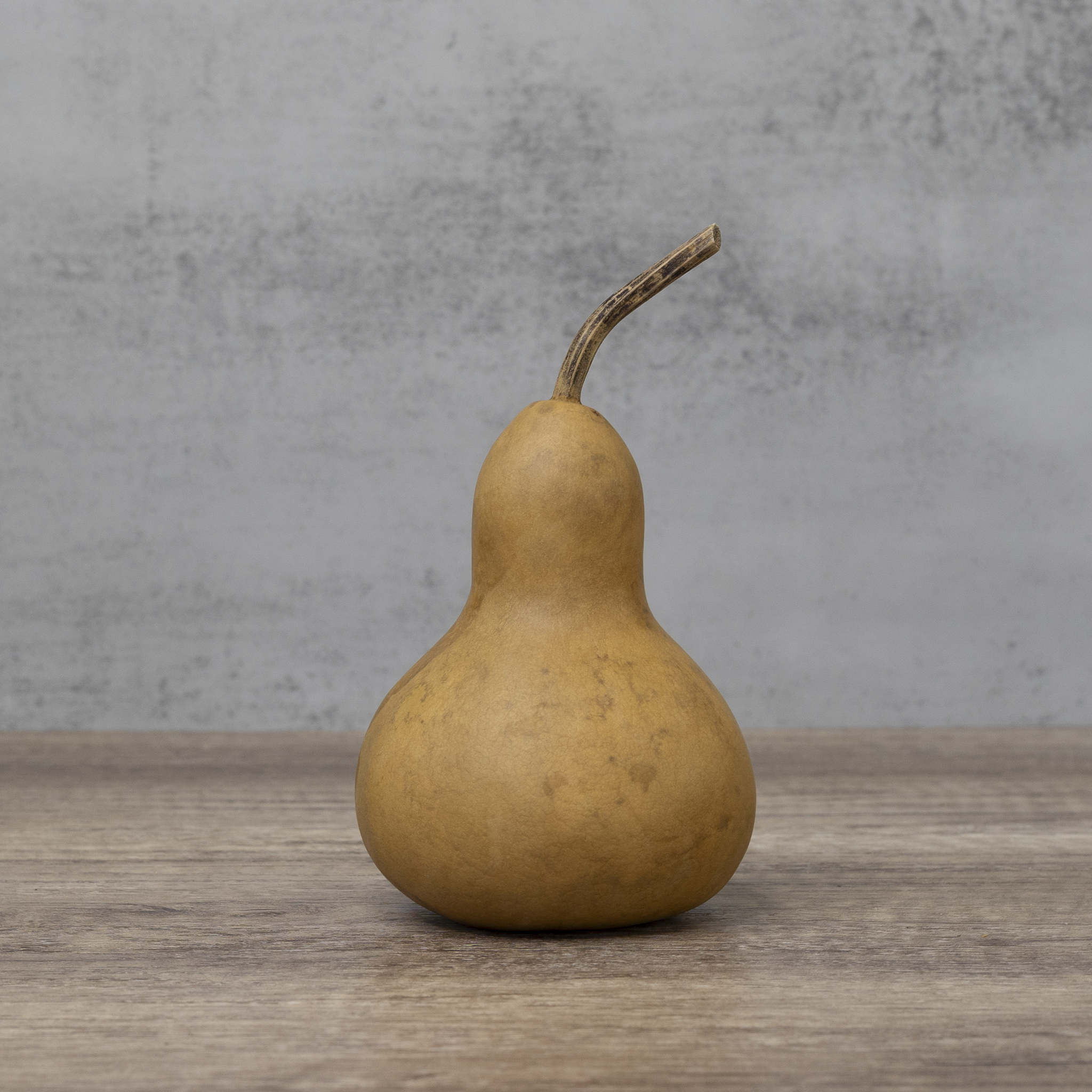 Dried Martin Gourd - 3" in Diameter