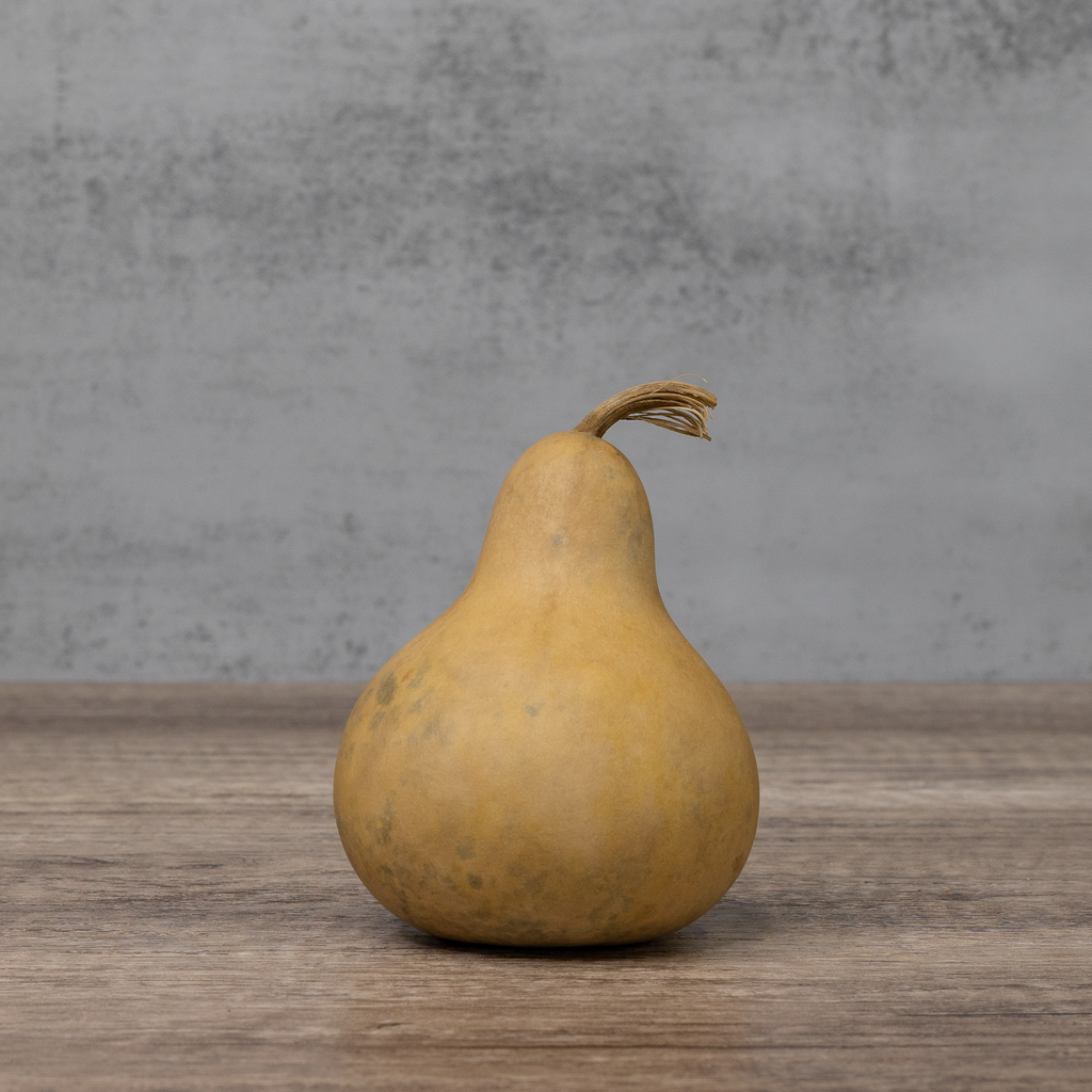 Dried Martin Gourd - 3" in Diameter