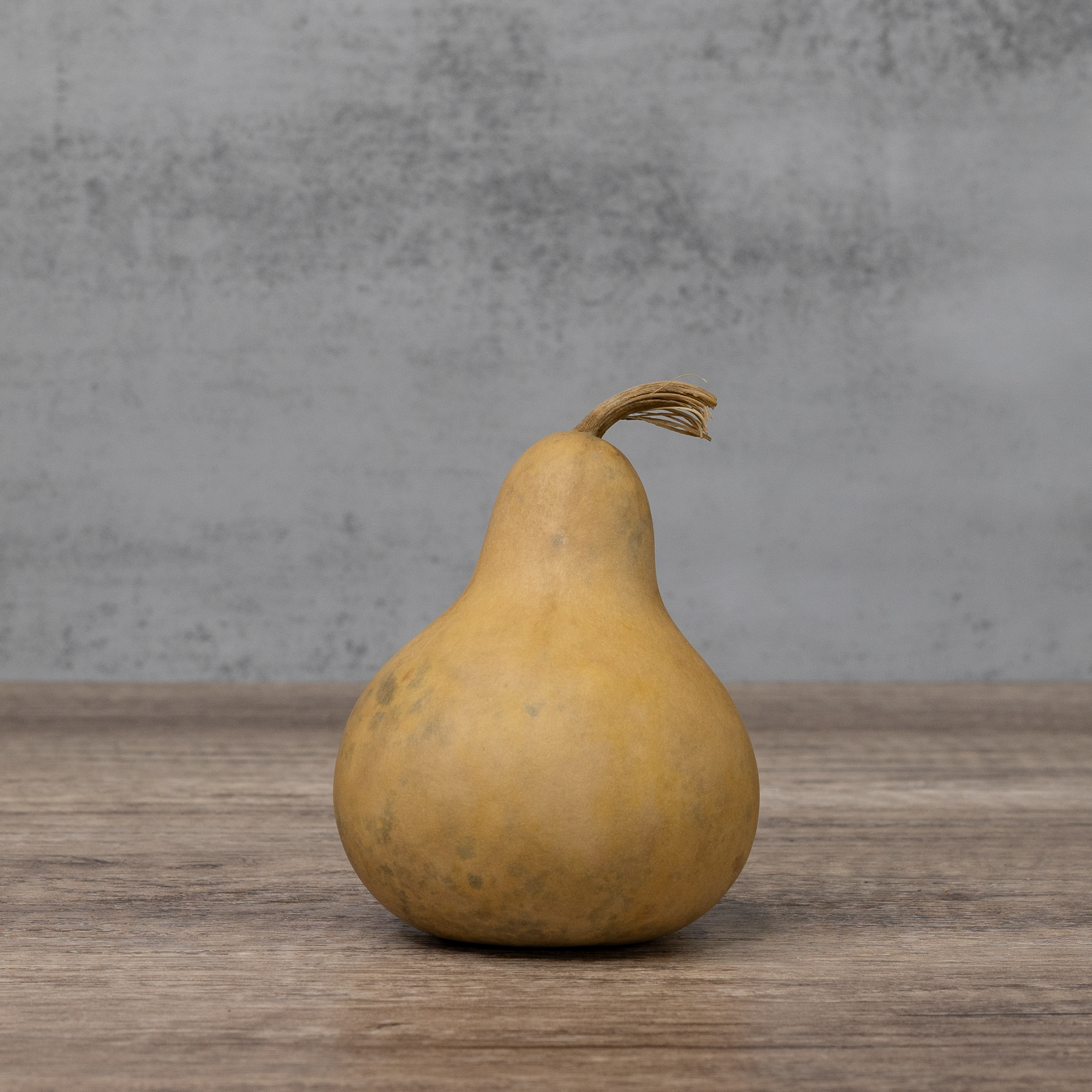 Dried Martin Gourd - 3" in Diameter