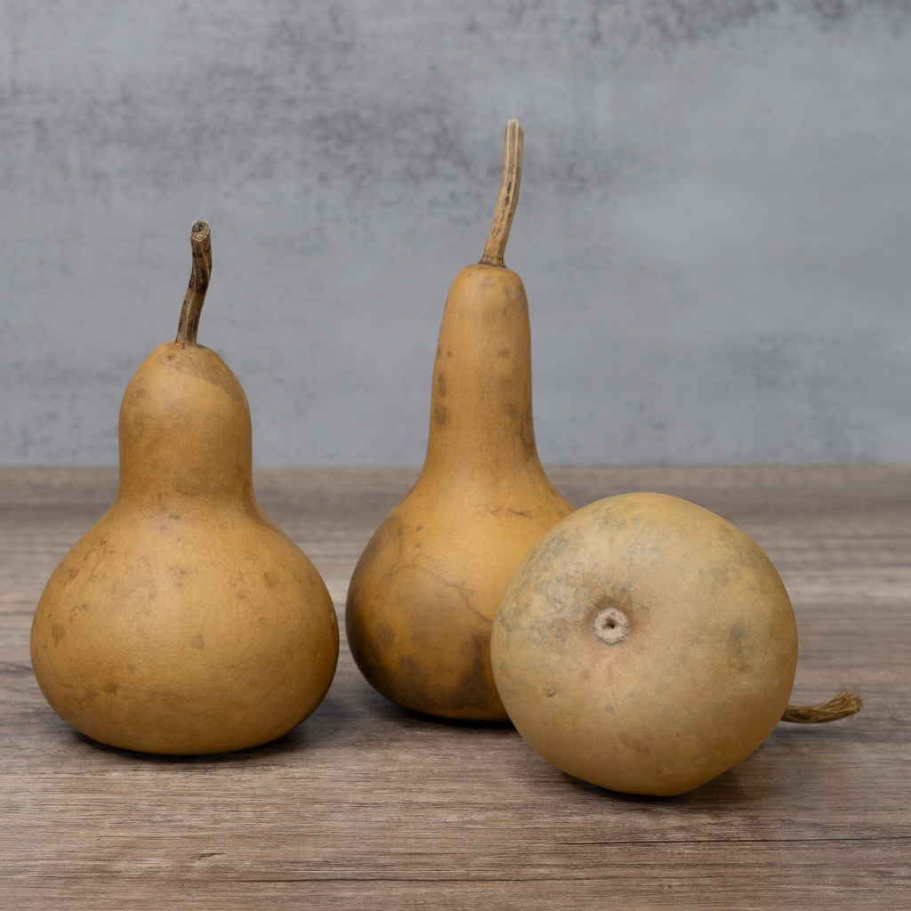 Dried Martin Gourd - 3" in Diameter