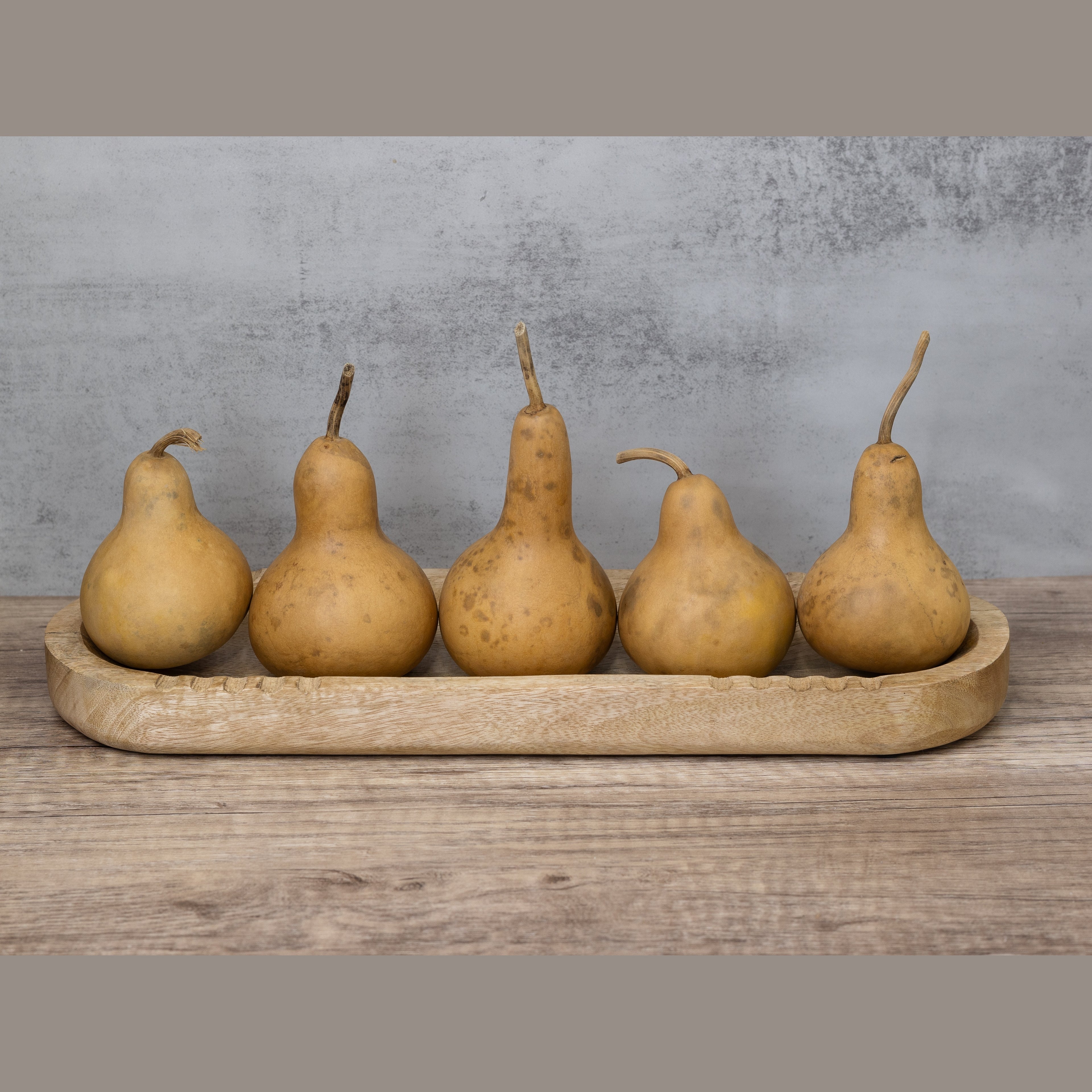 Dried Martin Gourd - 3" in Diameter