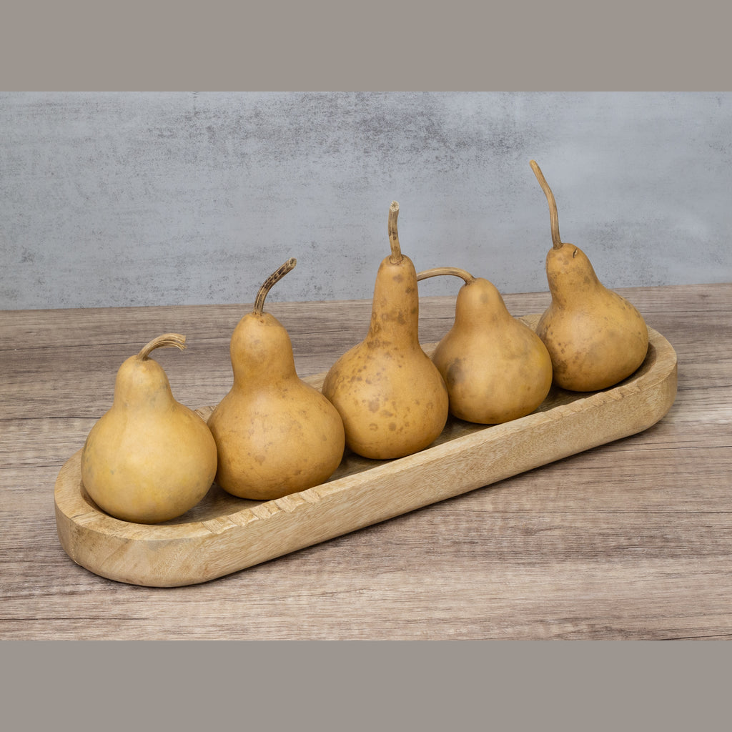 Dried Martin Gourd - 3" in Diameter