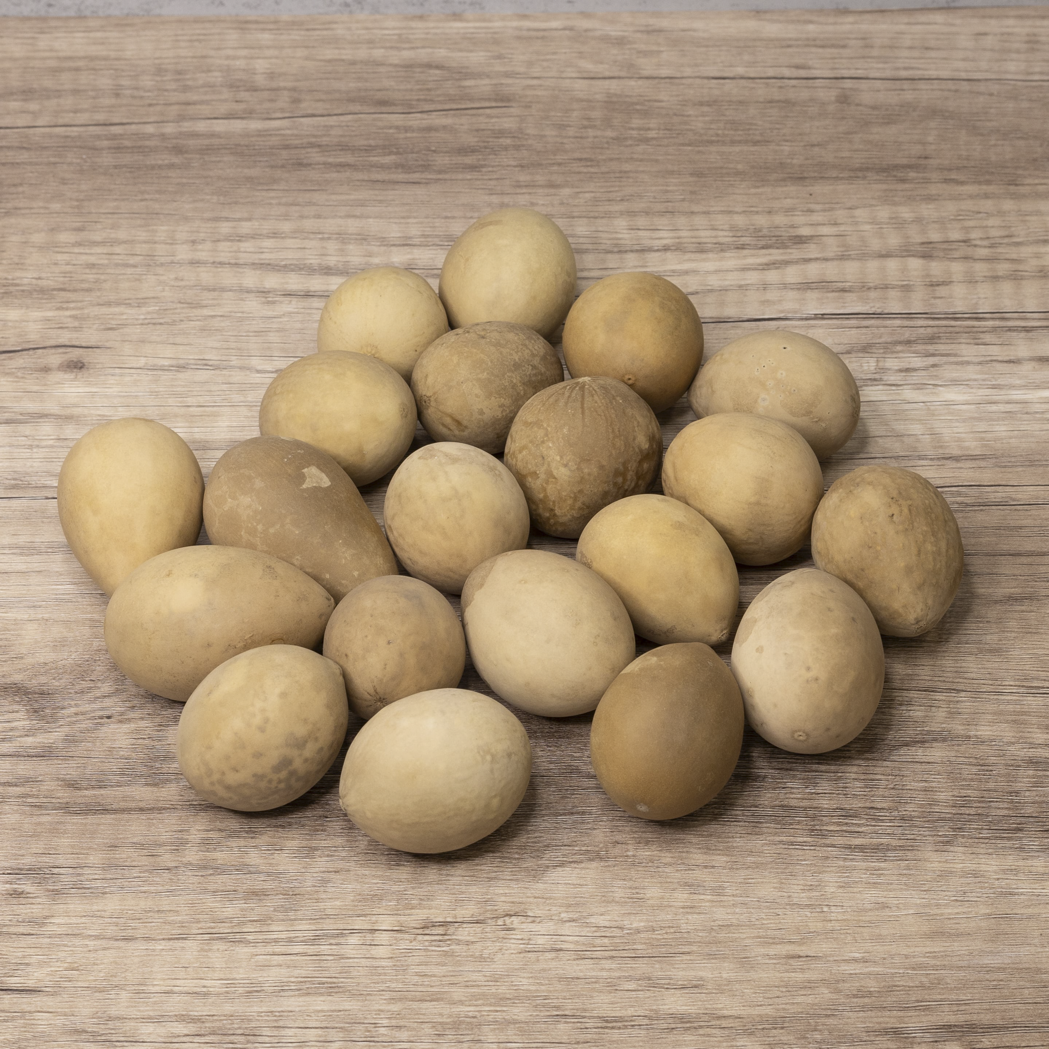 Dried Medium Gourd Eggs