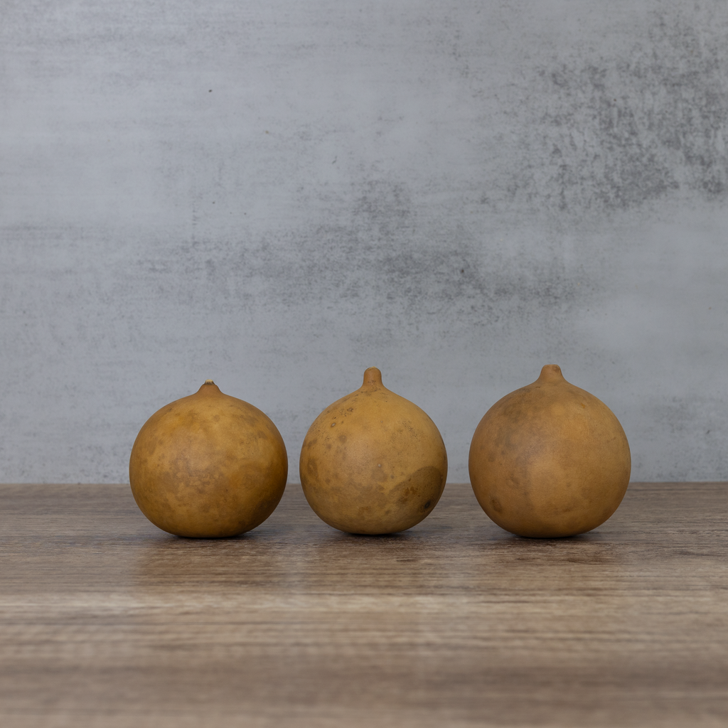 Dried Cannonball Gourd - 3" Diameter