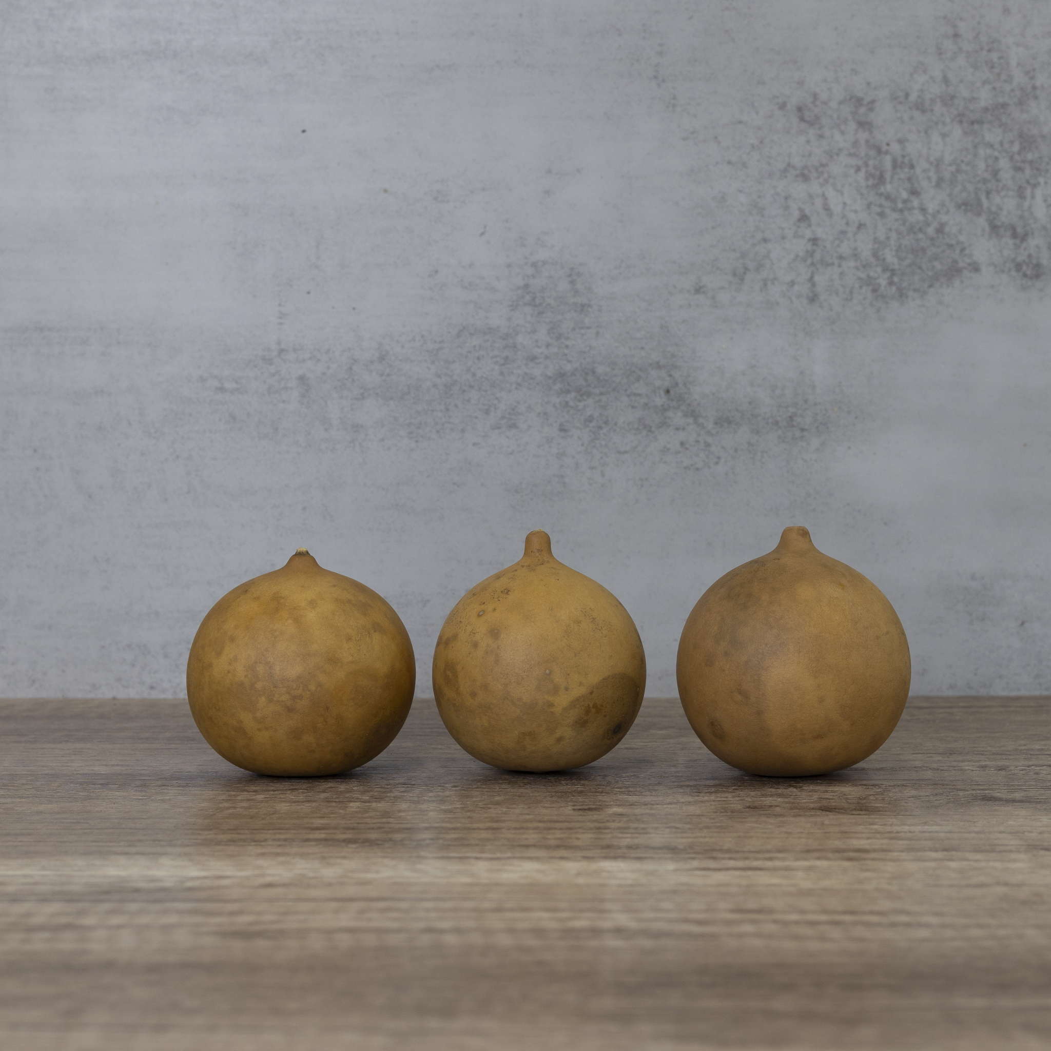 Dried Cannonball Gourd - 3" Diameter