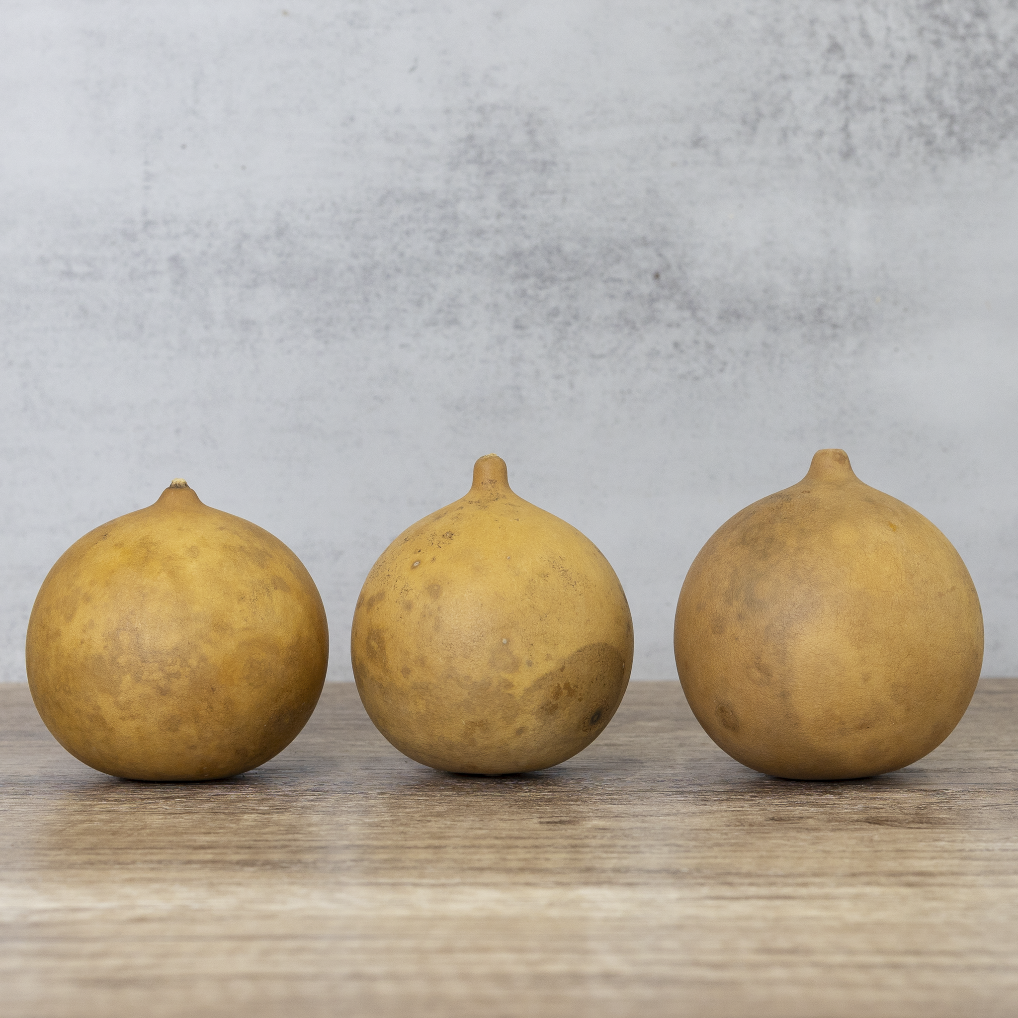 Dried Cannonball Gourd - 3" Diameter