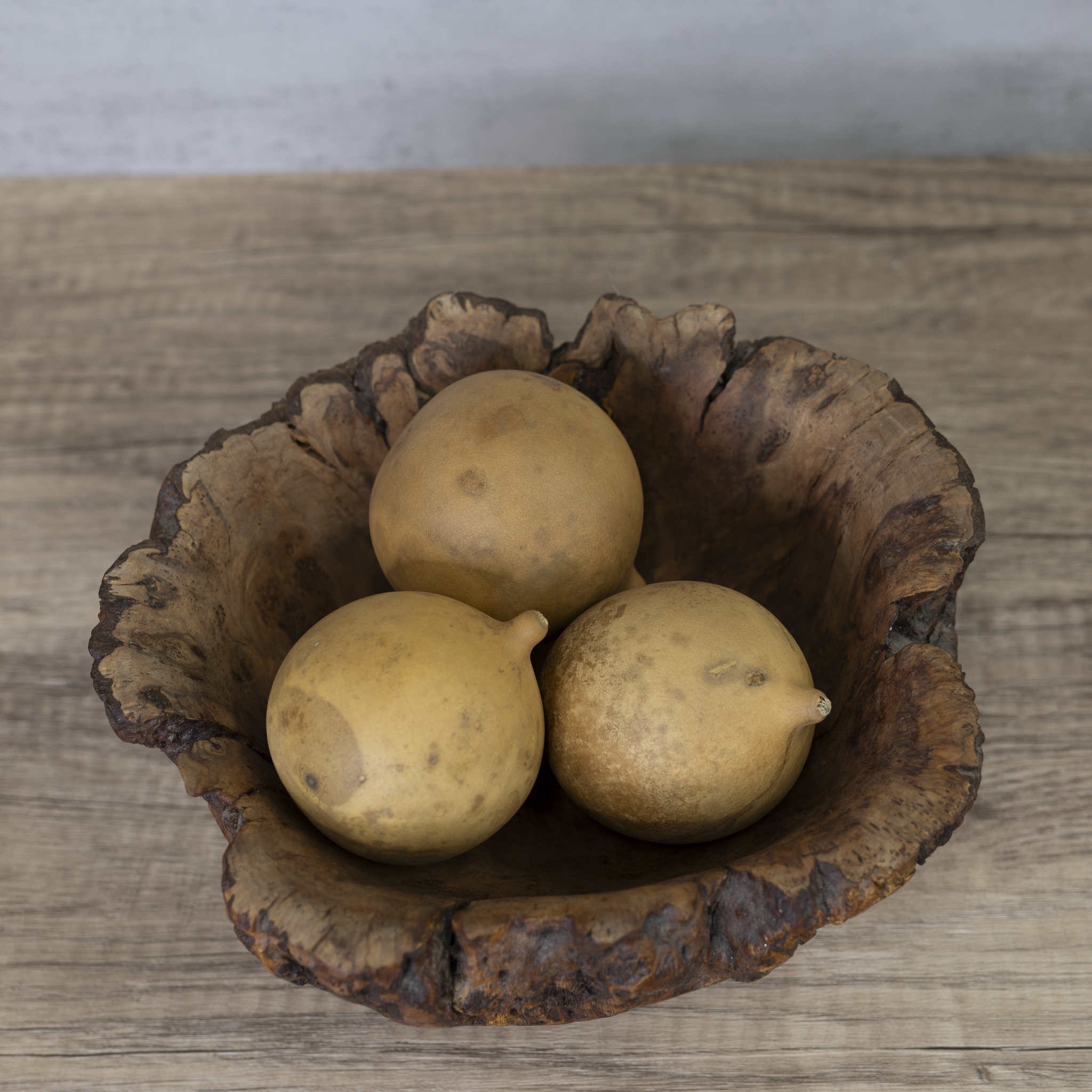 Dried Cannonball Gourd - 3" Diameter