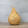 Dried Martin Gourd - 7" in Diameter