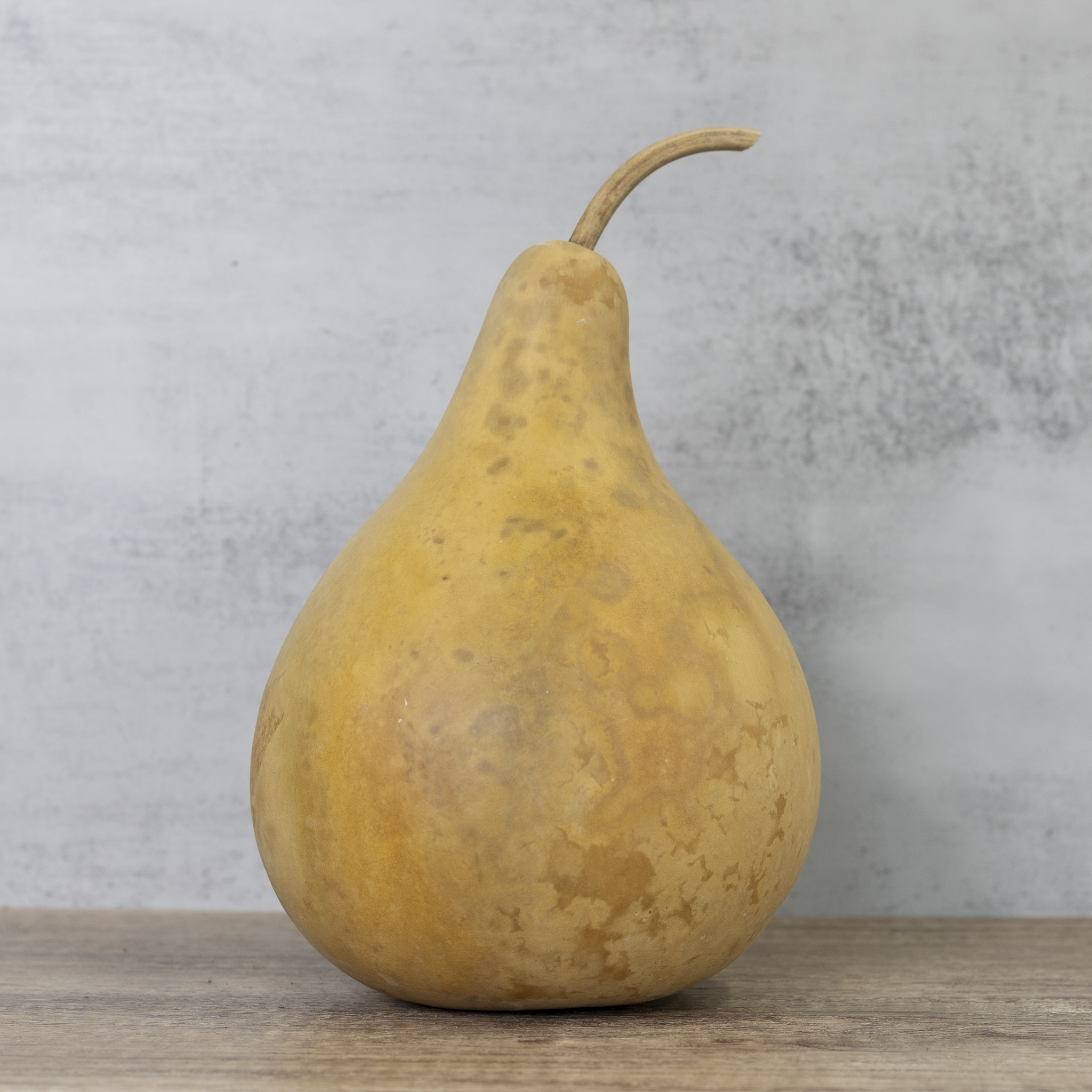 Dried Martin Gourd - 7" in Diameter