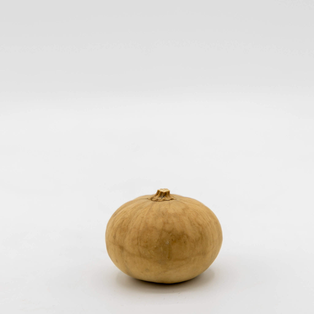 Dried Mini Pumpkin Gourd