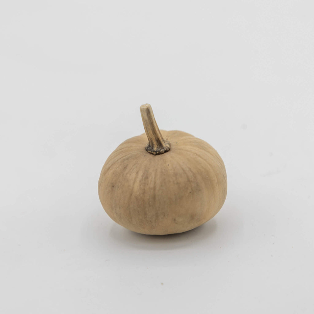 Dried Mini Pumpkin Gourd