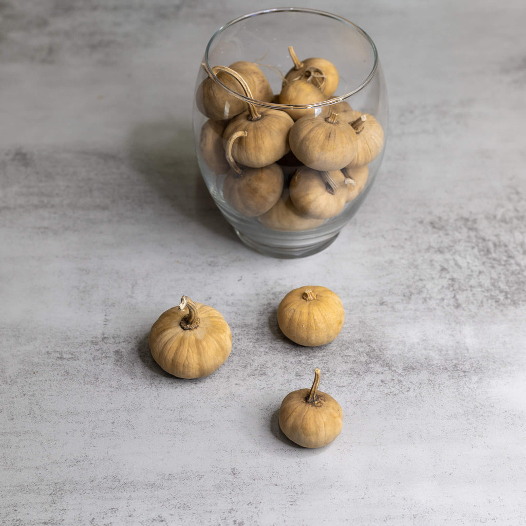 Dried Mini Pumpkin Gourd