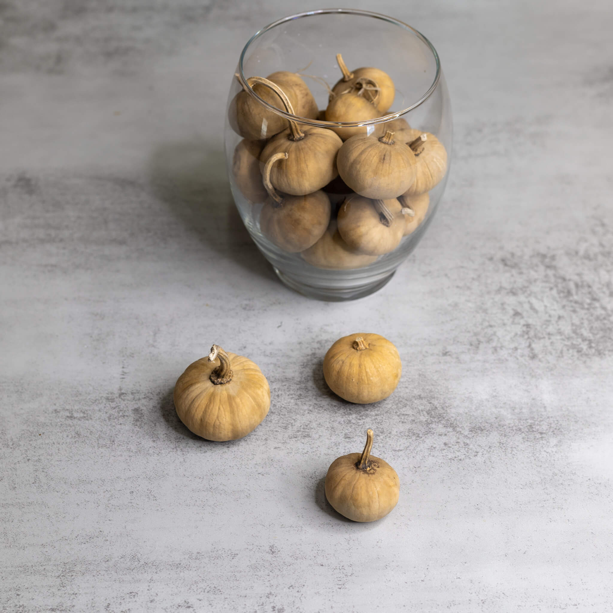 Dried Mini Pumpkin Gourd