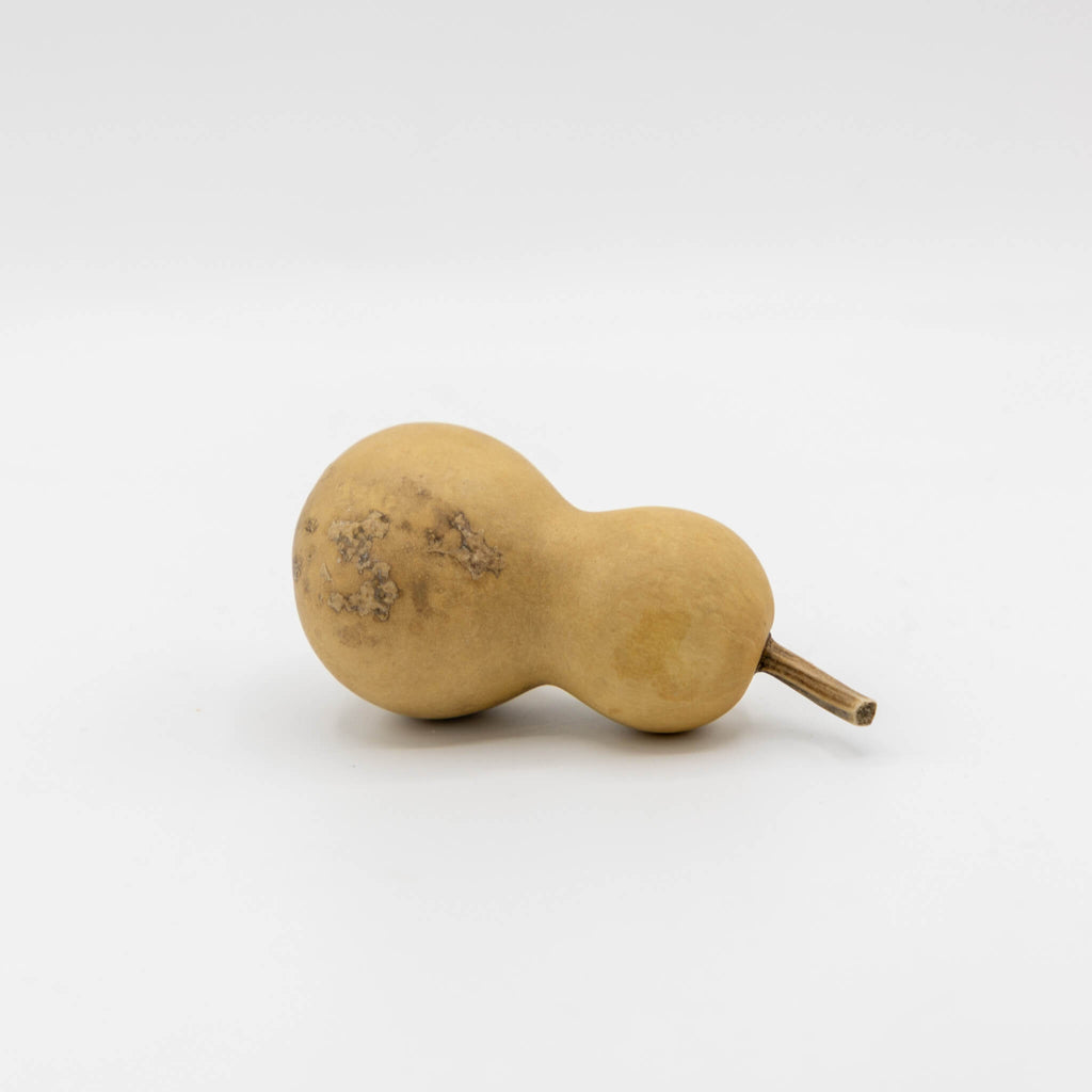 Dried Mini Bottle Gourd - 1.75" in Diameter
