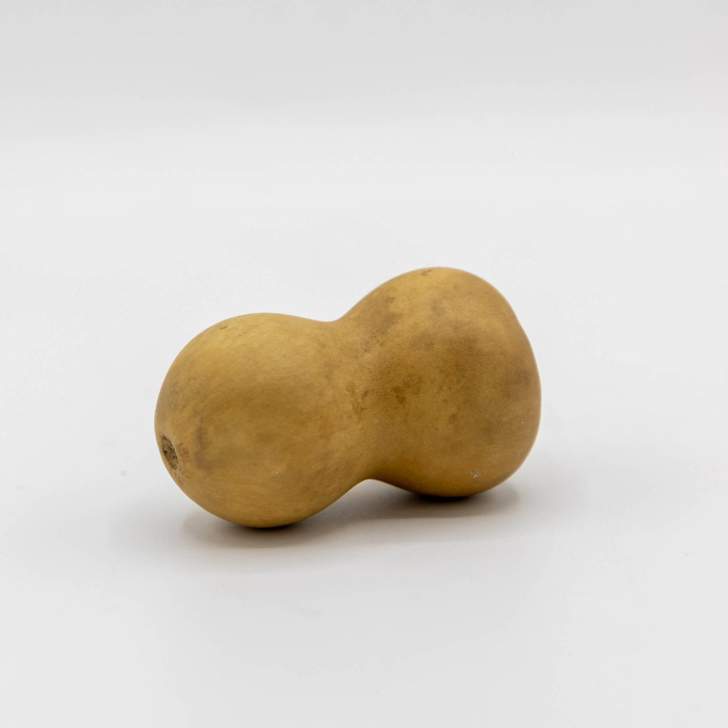 Dried Mini Bottle Gourd - 1.75" in Diameter