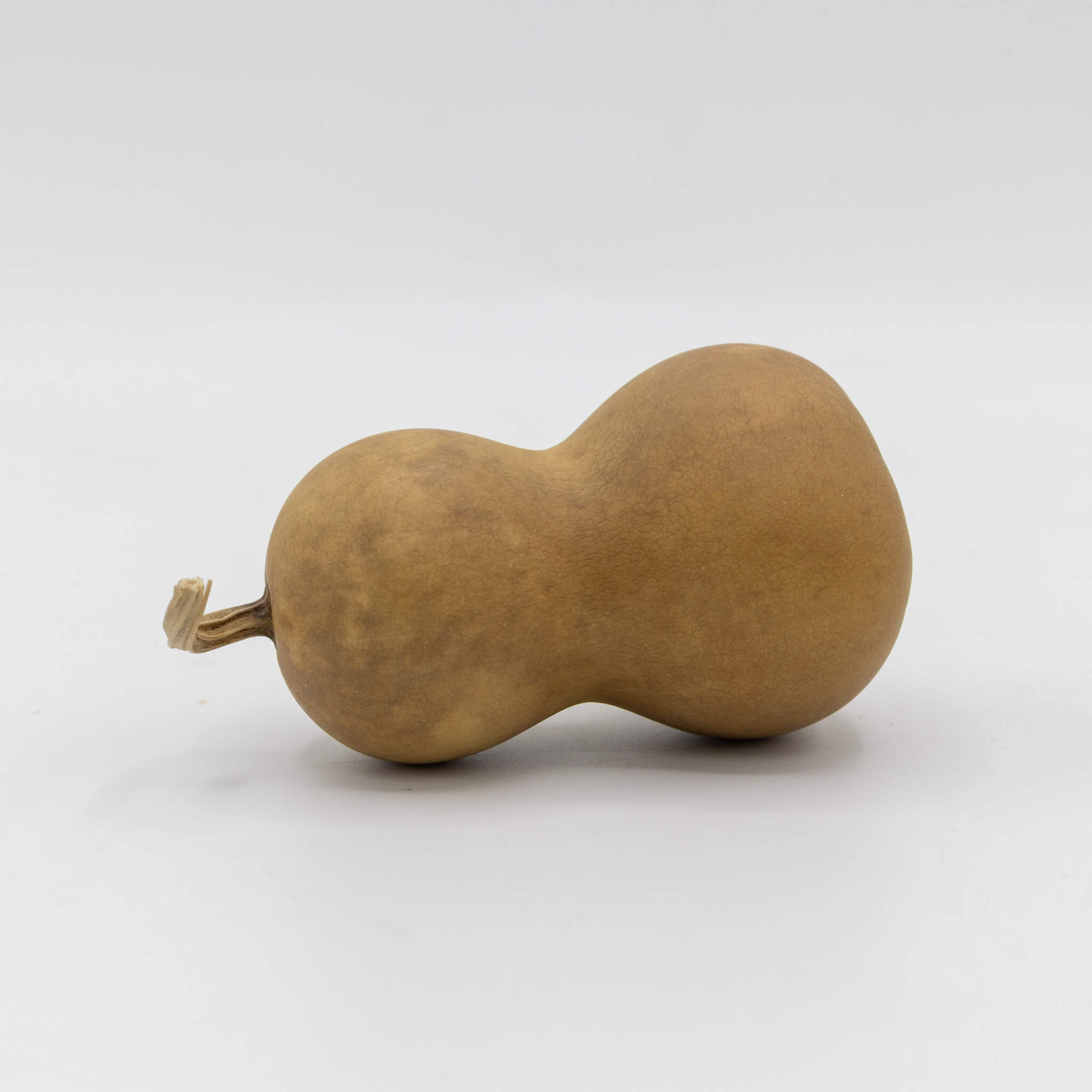 Dried Mini Bottle Gourd - 1.75" in Diameter