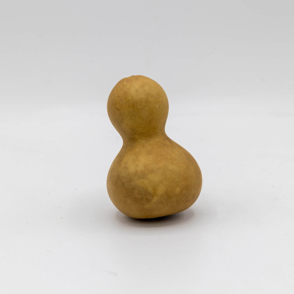 Dried Mini Bottle Gourd - 1.75" in Diameter
