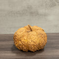 Dried Cheese Gourd - 7" in Diameter