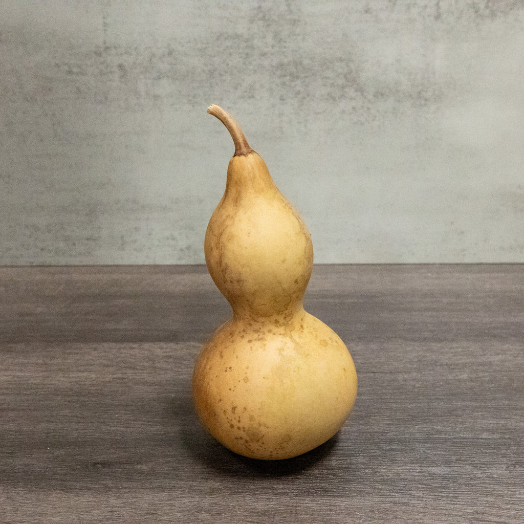 Dried Lump Neck Gourd - 3" in Diameter
