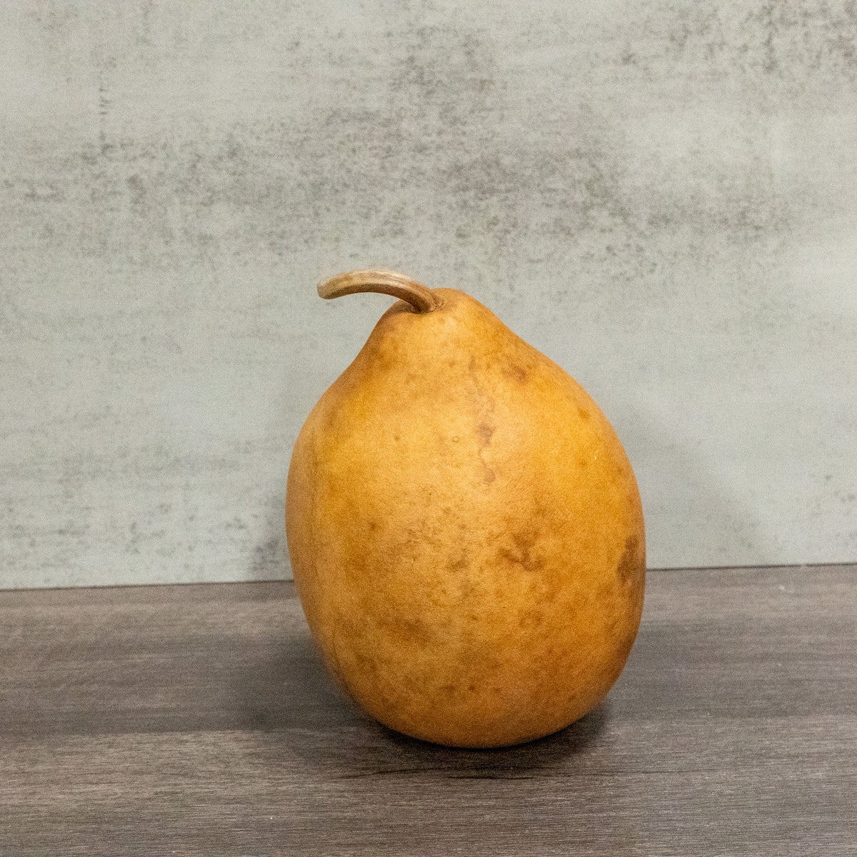 Dried Pear Gourd - 4" in Diameter