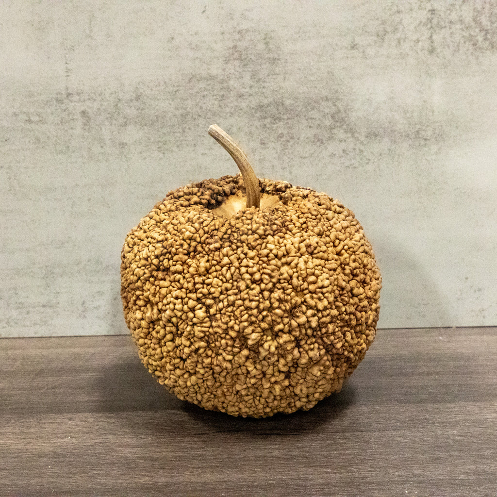 Dried African Warty Gourd - 5"-6" in Diameter