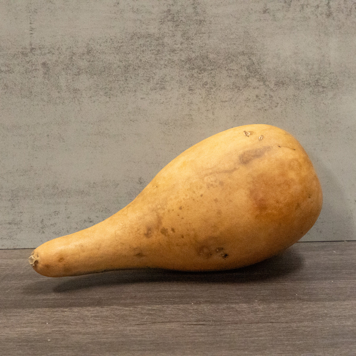 Dried Misc. Penguin Gourd - 2nds