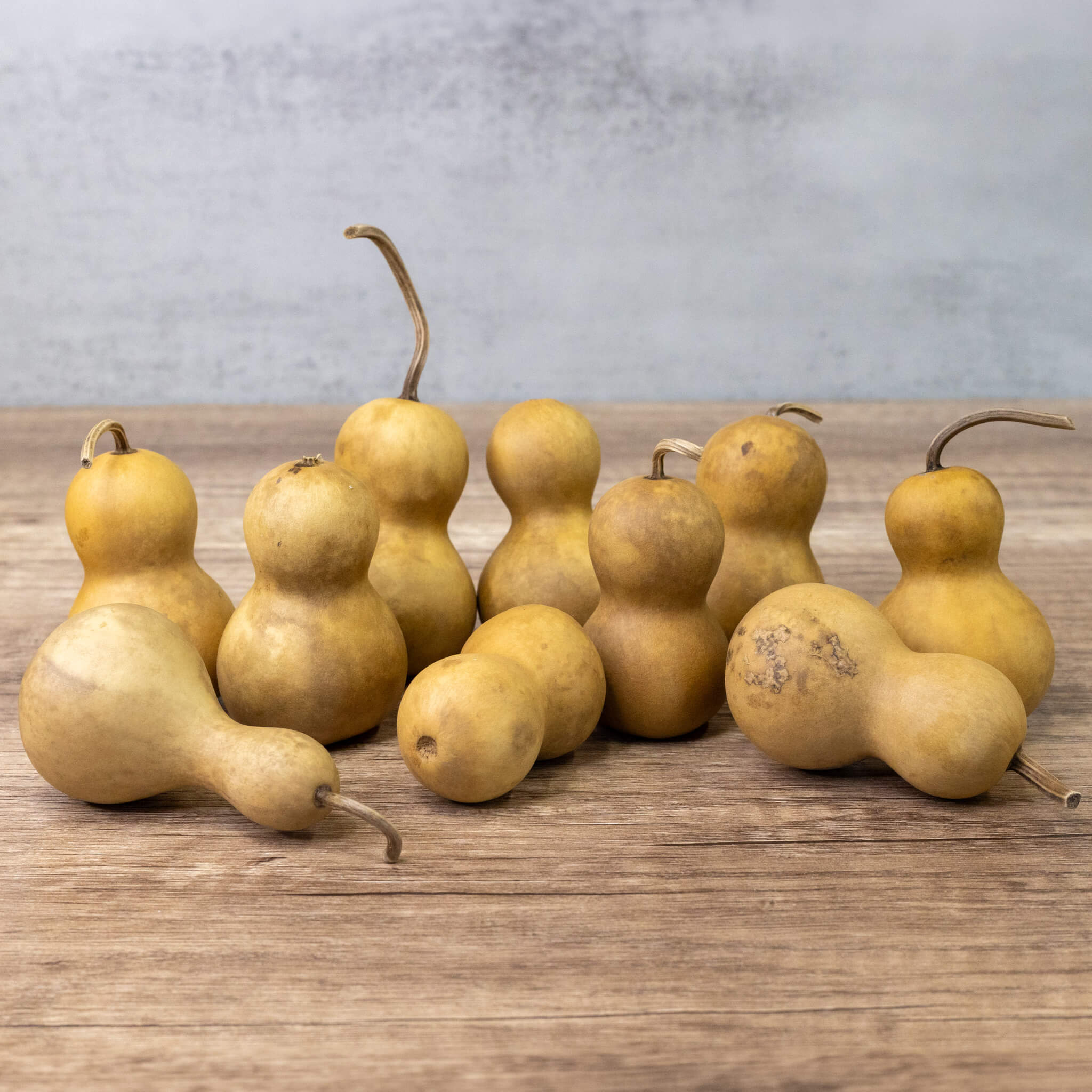 Dried Mini Bottle Gourd - 1.75" in Diameter