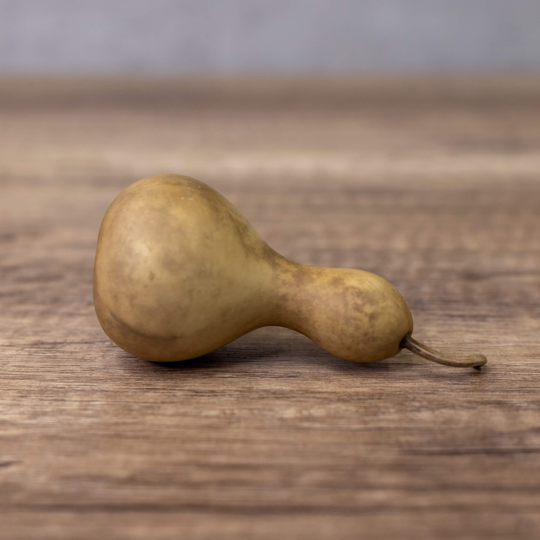 Dried Mini Bottle Gourd - 1.75" in Diameter