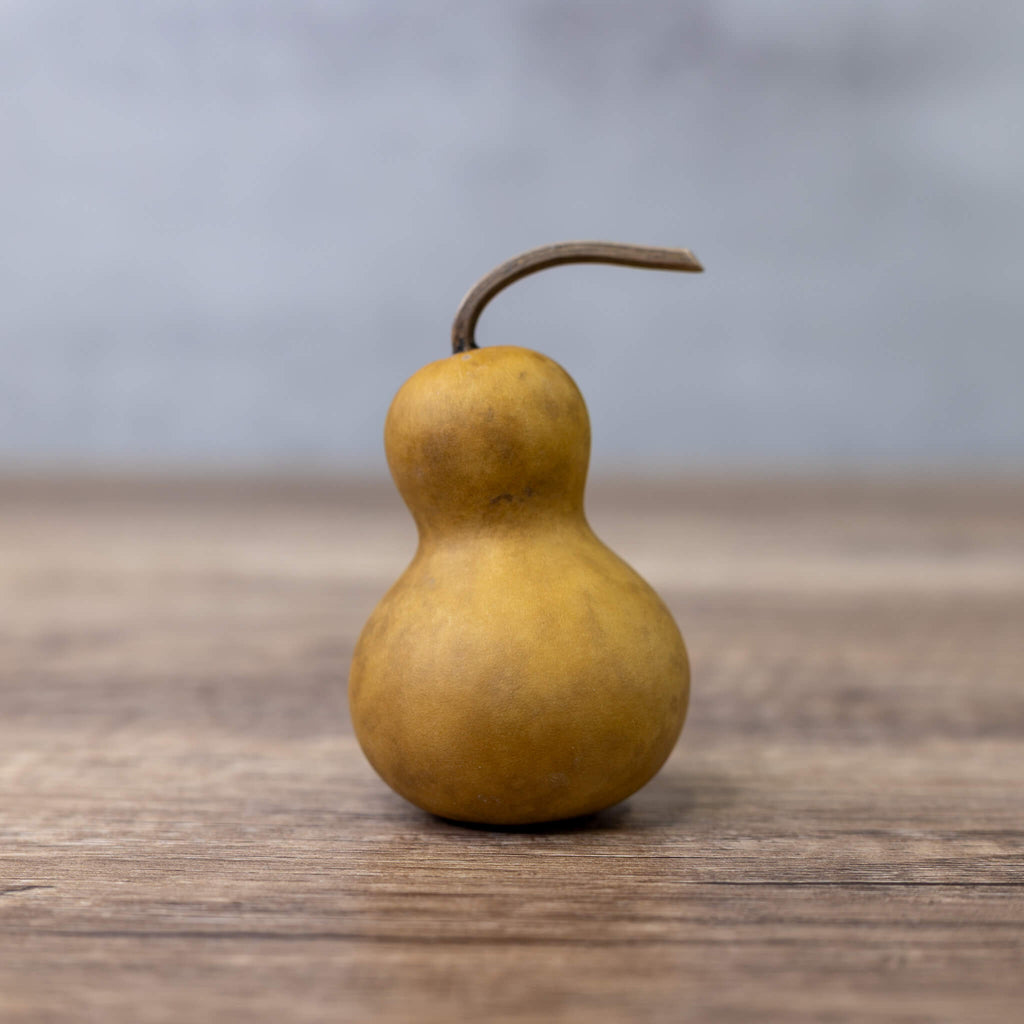 Dried Mini Bottle Gourd - 1.75" in Diameter