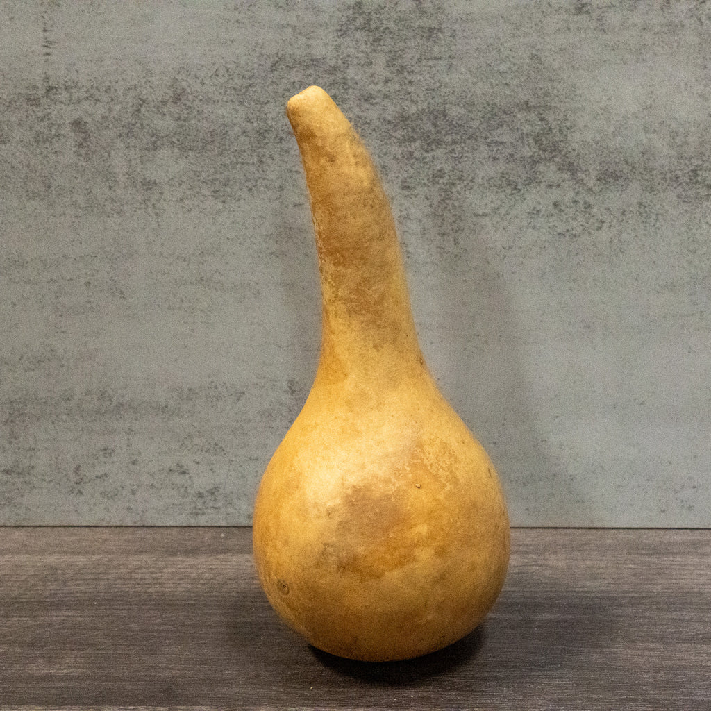 Dried Martin Gourd - 3.5" in Diameter