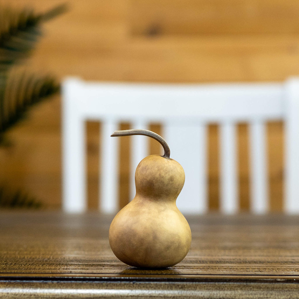 Dried Mini Bottle Gourd - 1.75" in Diameter