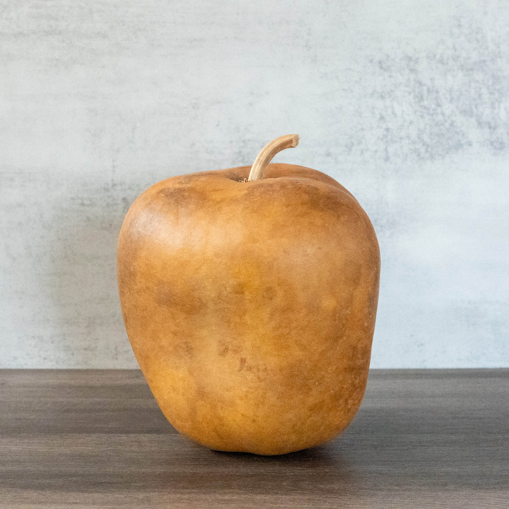 Dried Medium Apple Gourd Shaped Like Bell Peppers