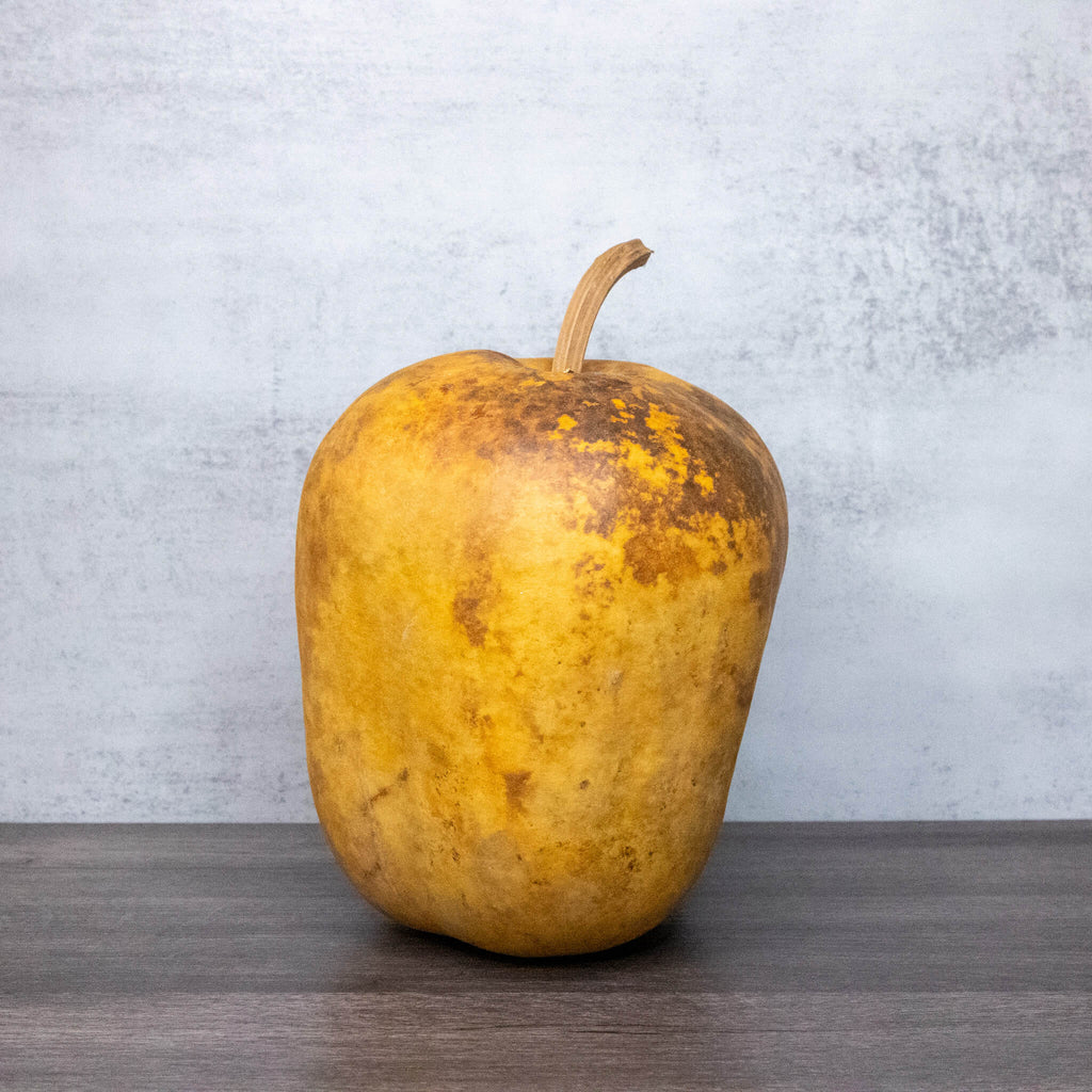 Dried Medium Apple Gourd Shaped Like Bell Peppers