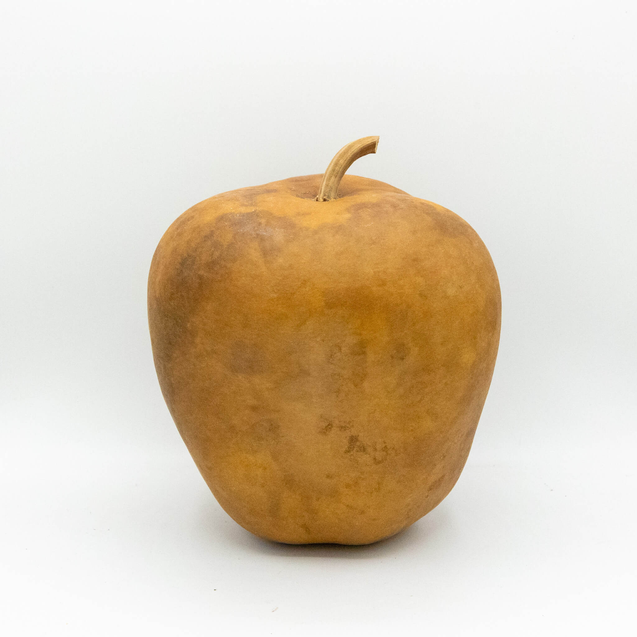 Dried Medium Apple Gourd Shaped Like Bell Peppers