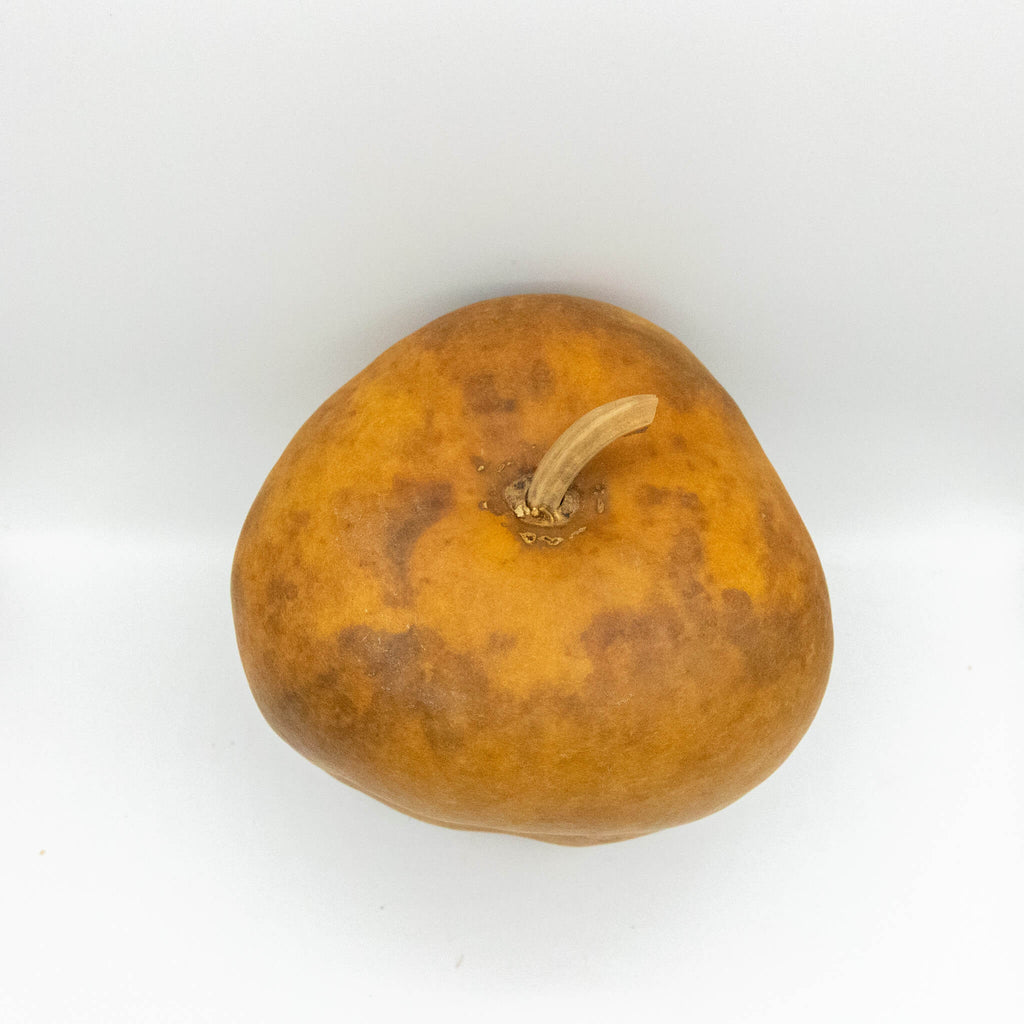 Dried Medium Apple Gourd Shaped Like Bell Peppers