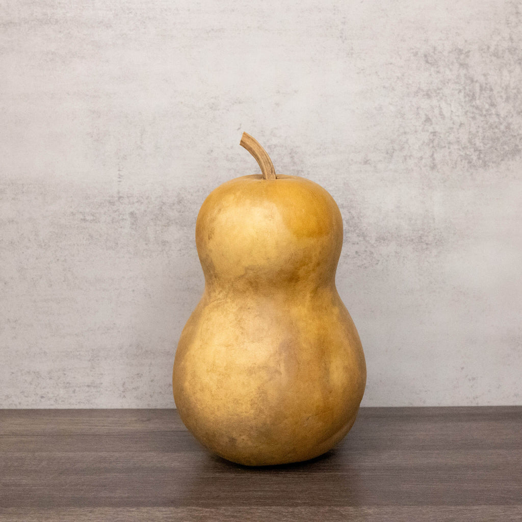 Dried Hourglass Bottle Gourd - 5" in Diameter